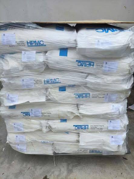 615793867_1443628434092557_5983767957114441842_n