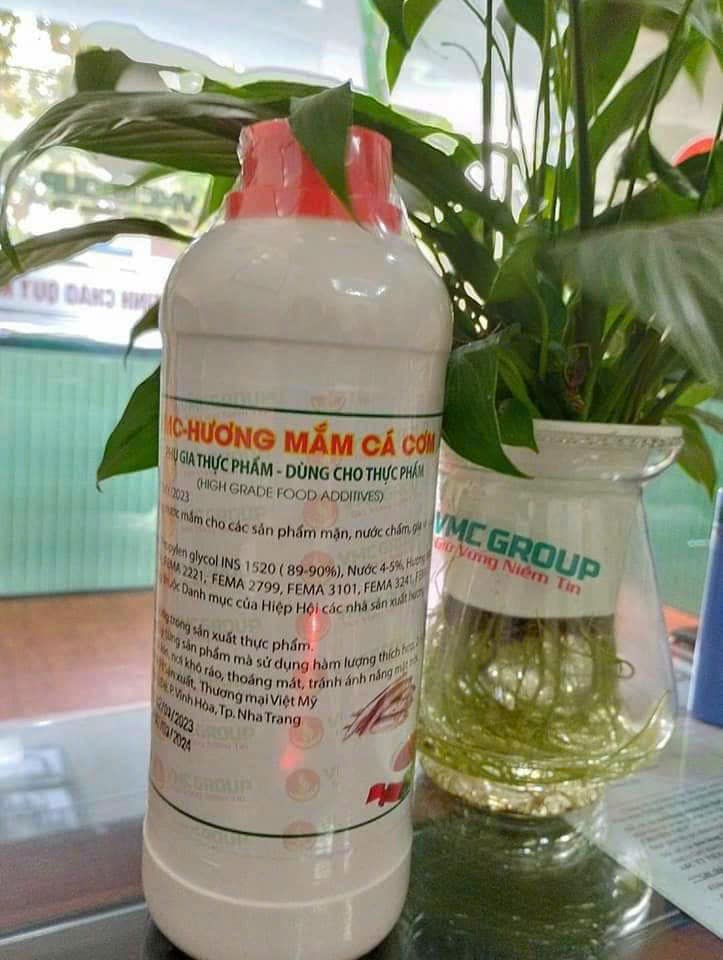 480973084_639623918562033_4070383424255238438_n